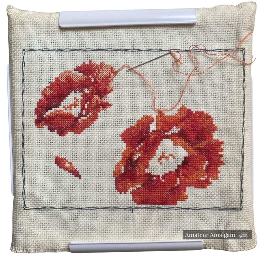 A picture of a cross stitch project in progress. The pattern is meant to be two poppy flowers surrounded by writing, but so far only the poppies are partially completed